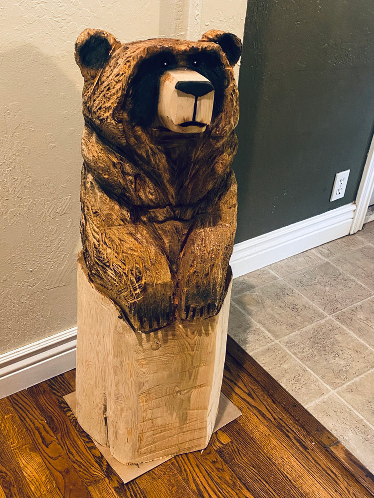 Bears and Boards